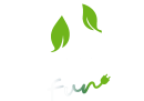 RUN FUN