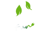 RUN FUN